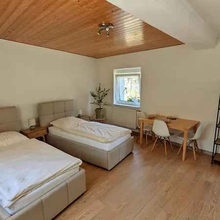 Apartamento Studio Merklín